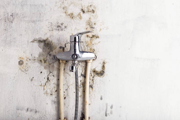 Best Water Damage Restoration  in Brookville, PA