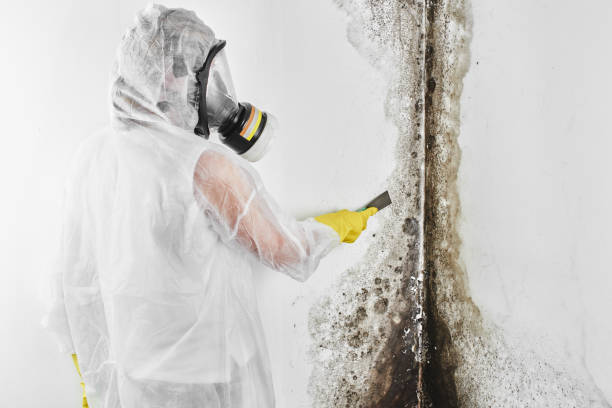 Water Damage Restoration in Brookville, PA