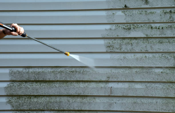 Best Office Mold Removal Services  in Brookville, PA