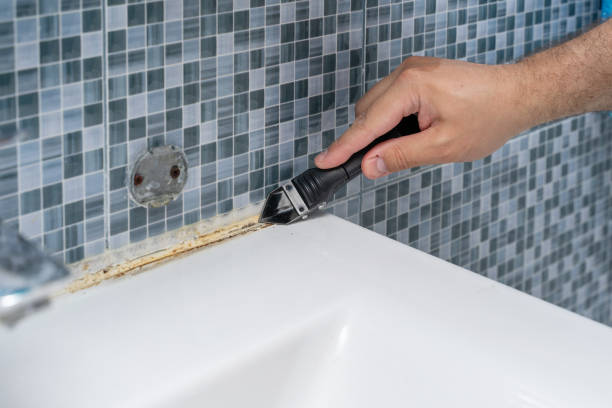 Best Attic Mold Removal  in Brookville, PA